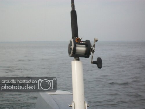 LOC5-9-12C.jpg