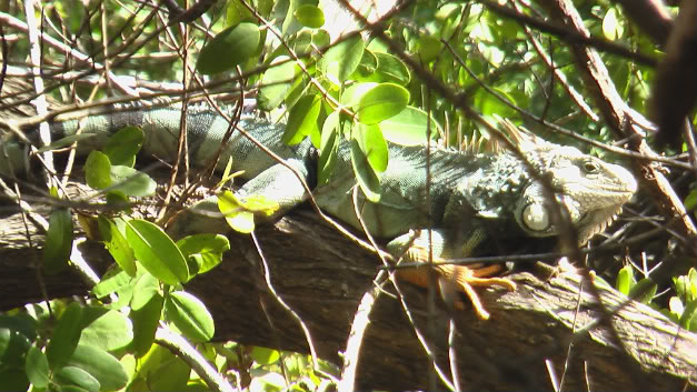 LongKey001.jpg