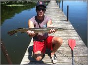 Longnose_Gar.jpg