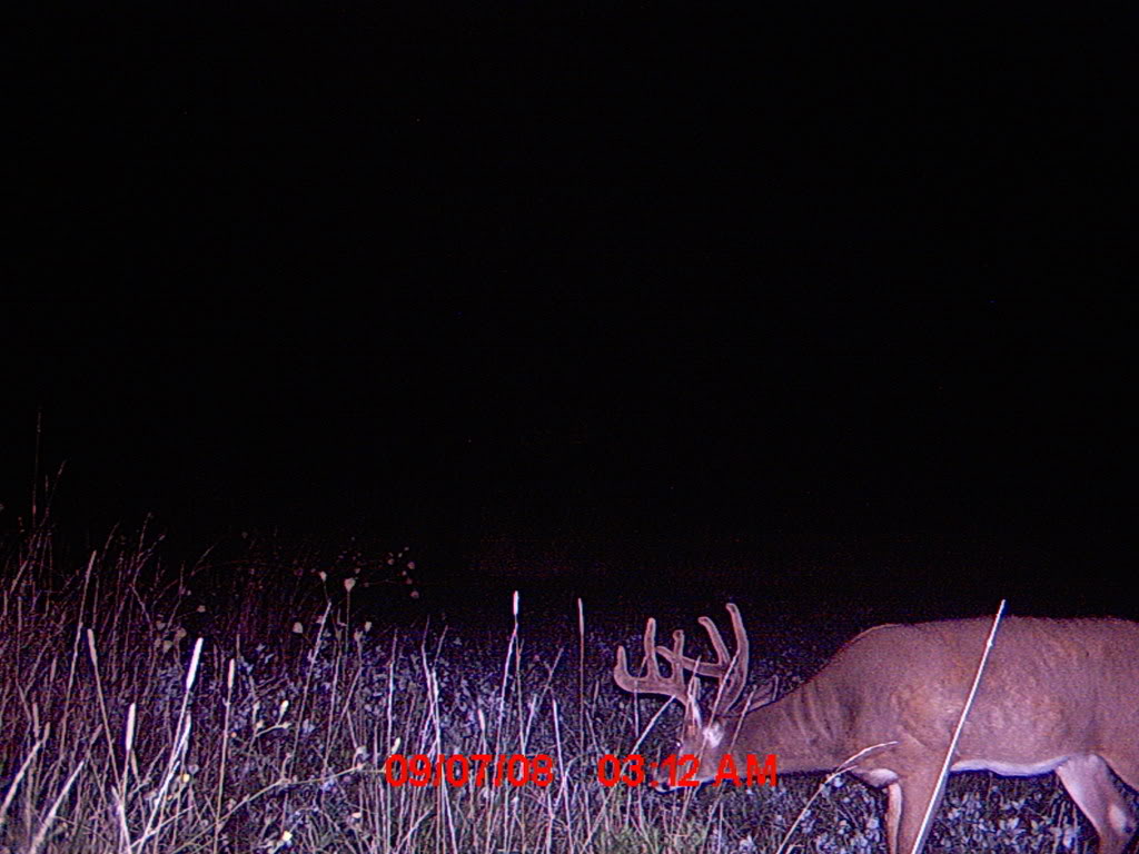 MDGC0028.jpg