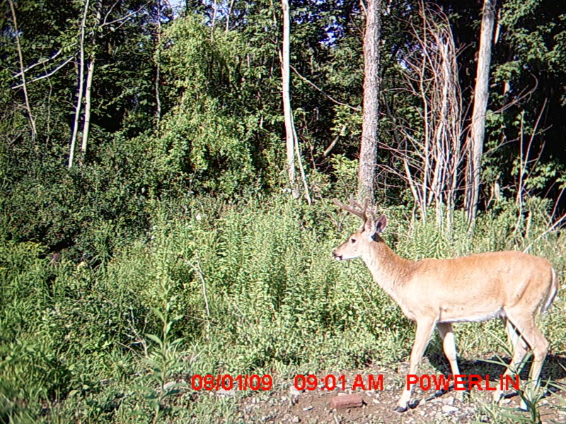MDGC0207.jpg