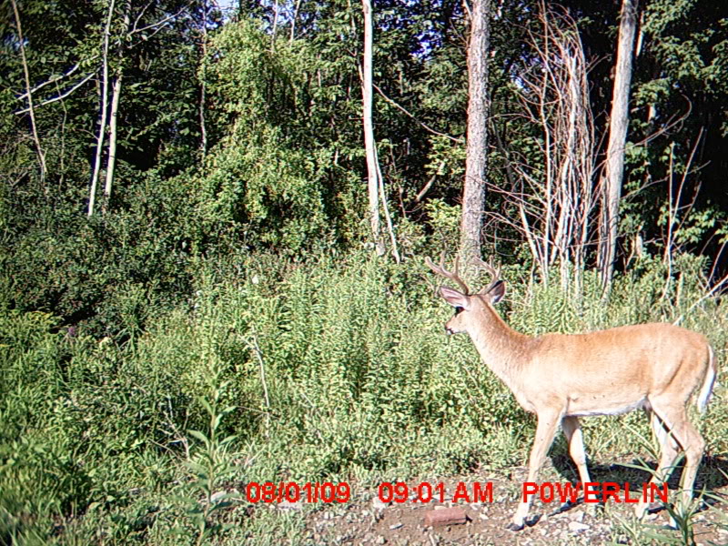 MDGC0208.jpg
