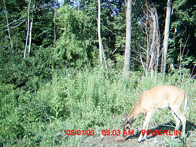 MDGC0209.jpg