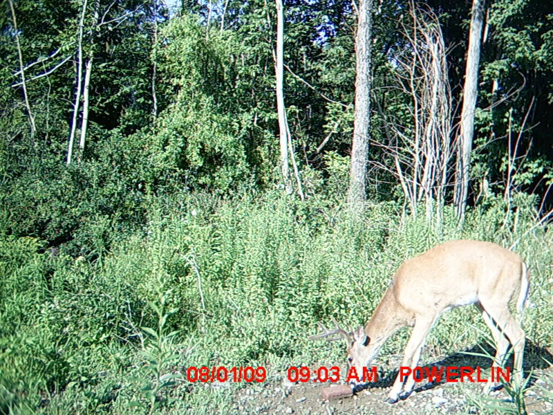 MDGC0210.jpg