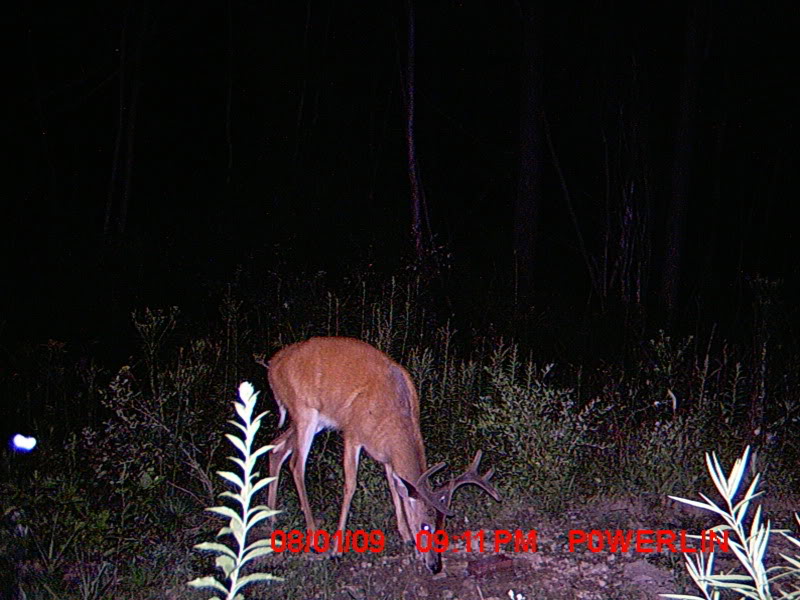 MDGC0211.jpg