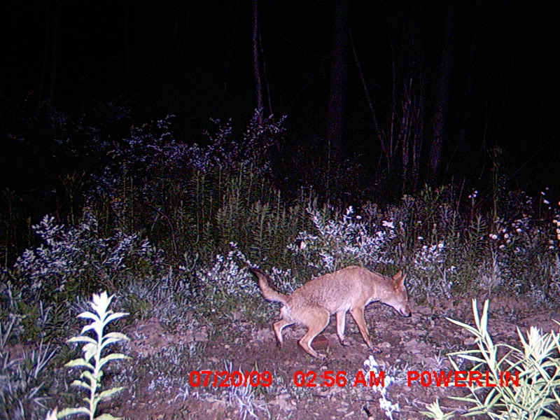MDGC0265.jpg