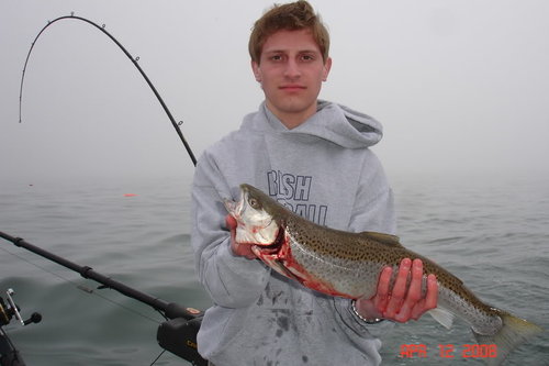 MarkDanieltripApril122008007.jpg