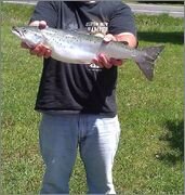 May_12_Salmon.jpg
