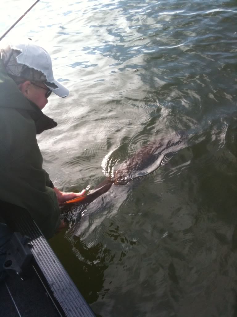 Musky_4_Waneta_Lake.jpg