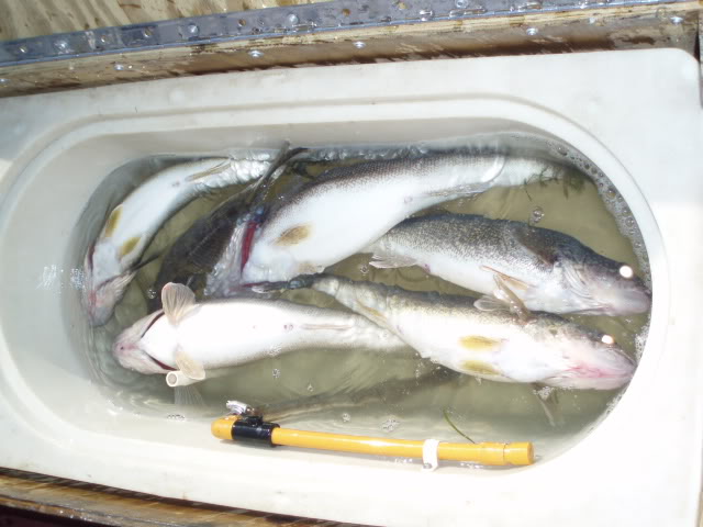 OneidaEyes10-4-09005.jpg