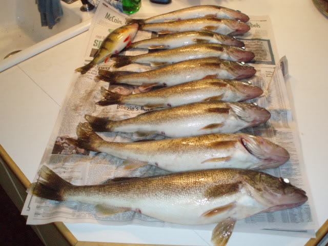 OneidaEyes11-2-08008.jpg