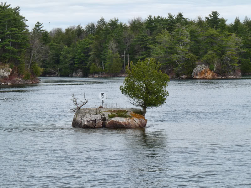 P1000219.jpg