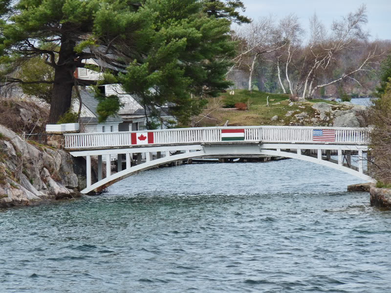 P1000226.jpg