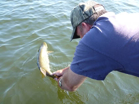 P1000298.jpg