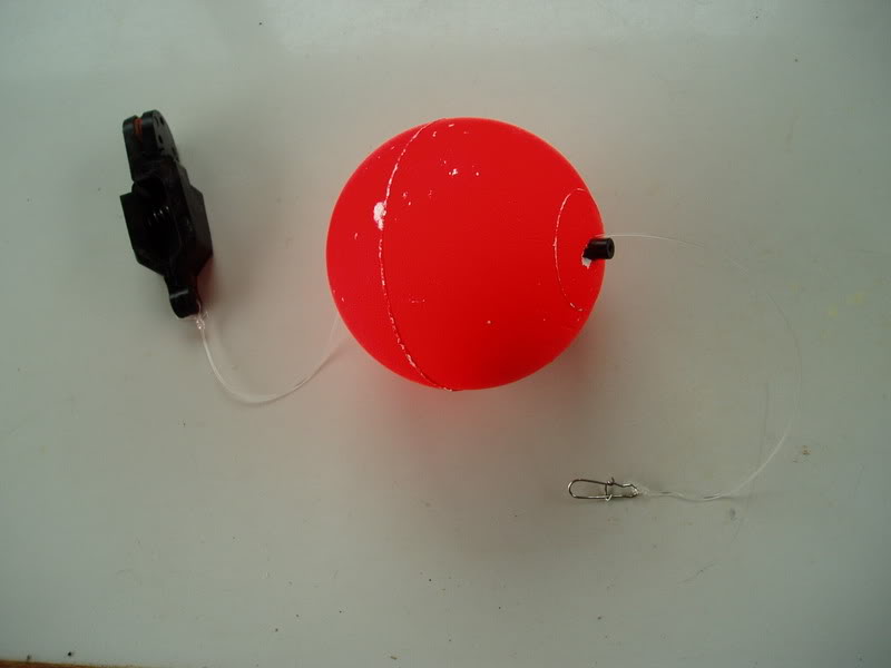 P8100007.jpg