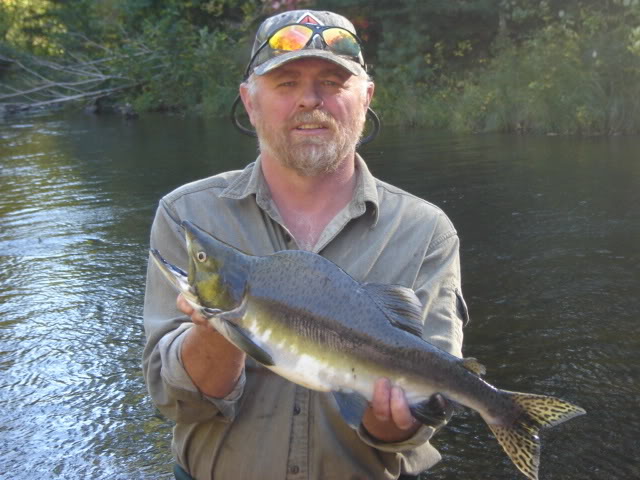 PHIL2007PINK.jpg