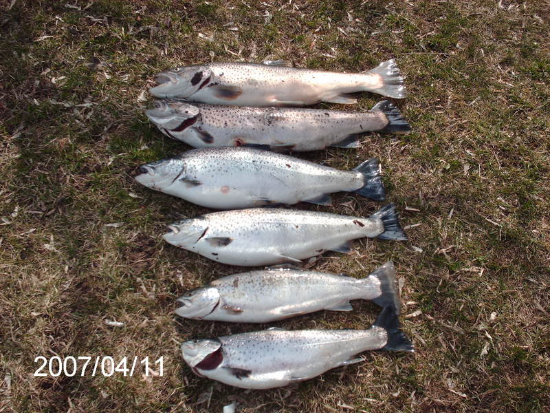 PICT0169.jpg