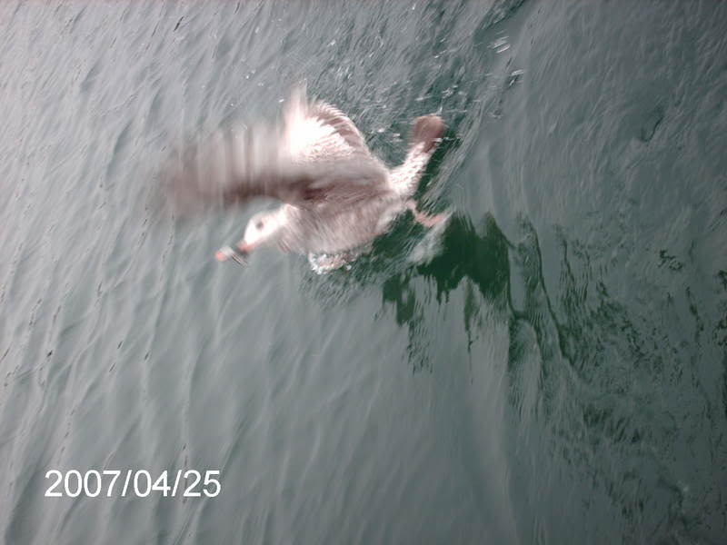 PICT0185.jpg
