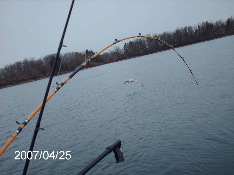 PICT0187.jpg