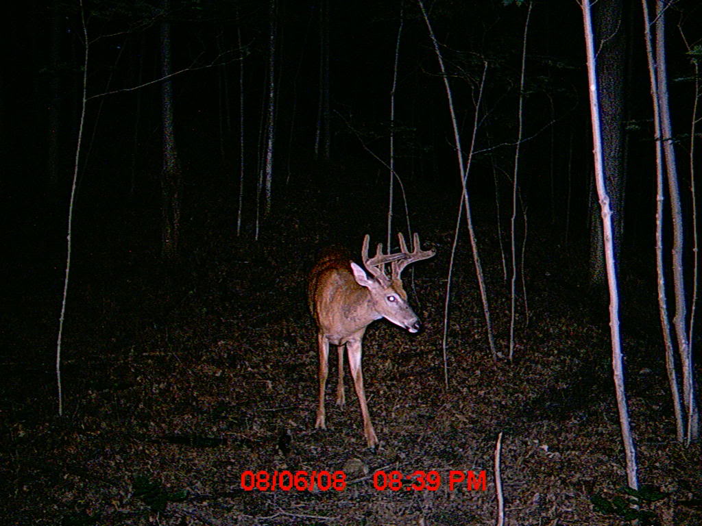Picture028.jpg