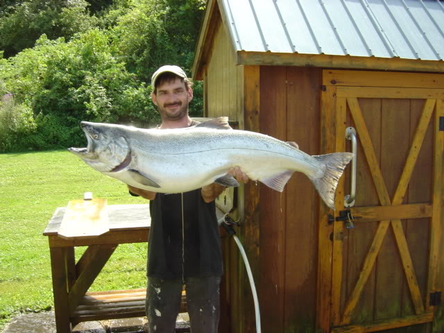Picturedawns017.jpg