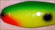 Polly_Parrot_Glow.jpg