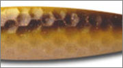 Pq19D2zr.jpg