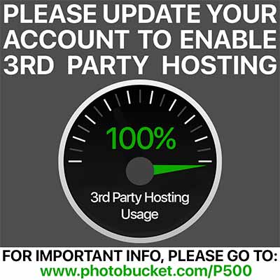 QPDoll2.jpg