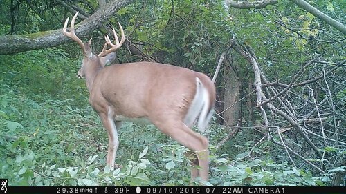 Riga-9-10-19-middle-buck2.jpg