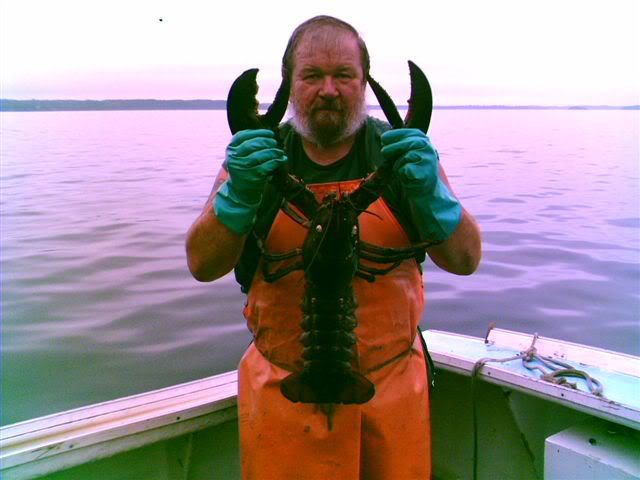 Ronlobstering2.jpg