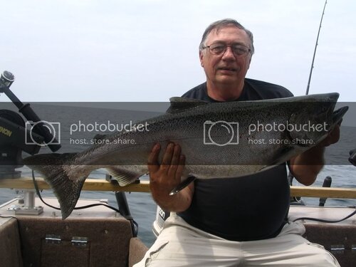 Salmon1.jpg