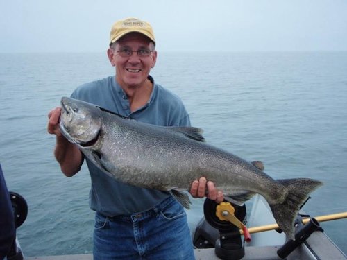 Salmon1a.jpg