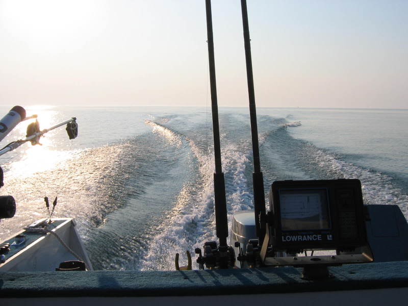 Salmon8_29_0714.jpg