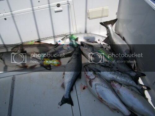 SandyCreekShootout2011003.jpg