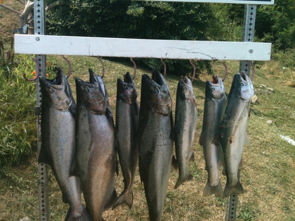 Sat8-4.jpg