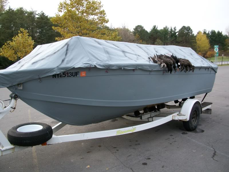 Scoters1031002.jpg