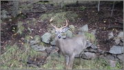 September_2011_013.jpg
