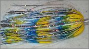 Sexy_Shad_Fly.jpg