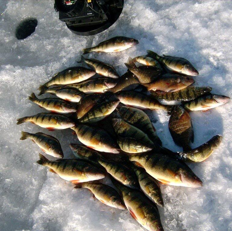 Sodus1-22-102.jpg