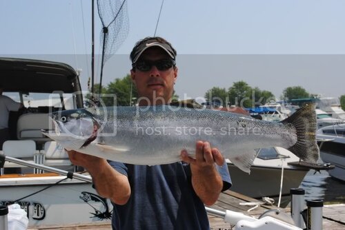 Sodus2010007.jpg