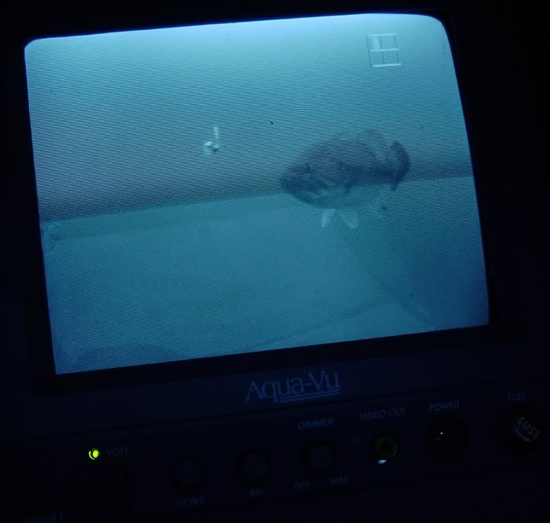 SodusBass.jpg