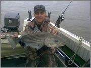 Striper2012.jpg