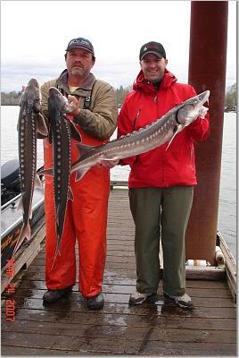 SturgeonMarch07.jpg
