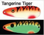 Tangerine_Tiger.jpg