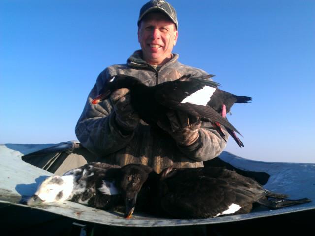 Thanksgivingwhitewings_zps17fe8438.jpg