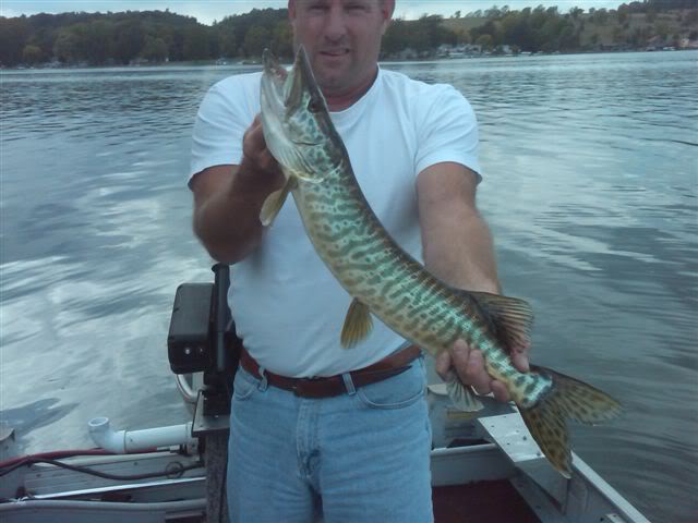 TigerMusky.jpg