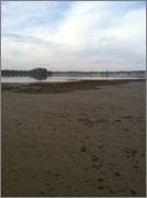 WATER.jpg