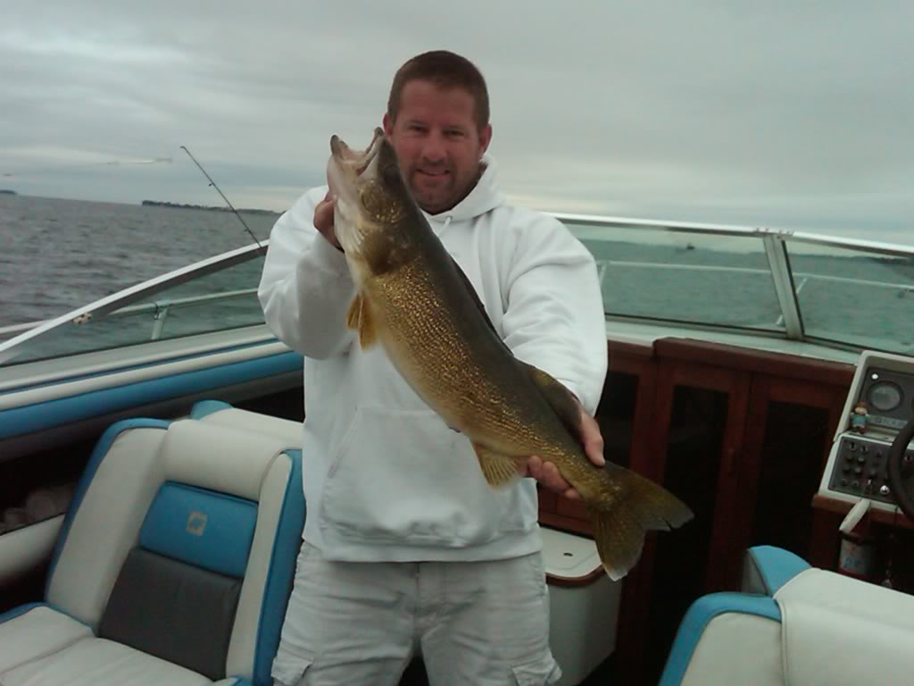 Walleye.jpg