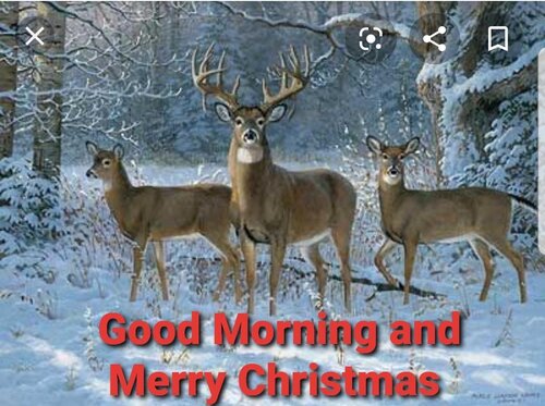 Image may contain: text and outdoor