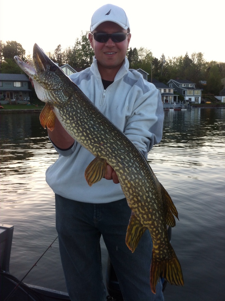 Conesus Lake May 11 14 Musky, Tiger Musky & Pike (ESOX) Lake
